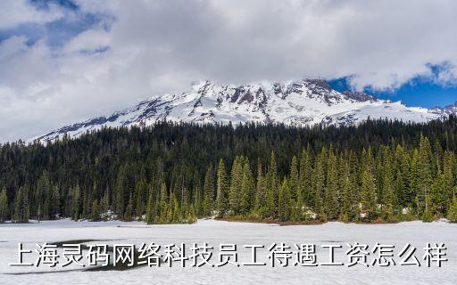 上?？ごa智能科技如何，上海靈碼網絡科技員工待遇工資怎么樣