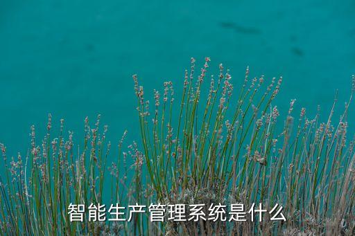 智能生產(chǎn)管理系統(tǒng)是什么