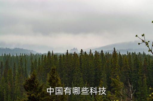中國(guó)有哪些智能科技，人工智能方面有哪些中國(guó)企業(yè)