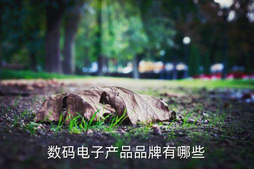 數(shù)碼電子產(chǎn)品品牌有哪些