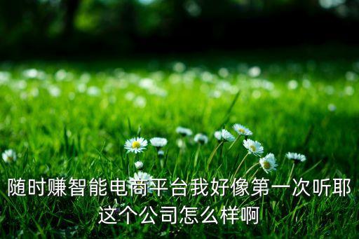 蜻蜓智能科技傭金怎么樣，隨時賺智能電商平臺我好像第一次聽耶這個公司怎么樣啊