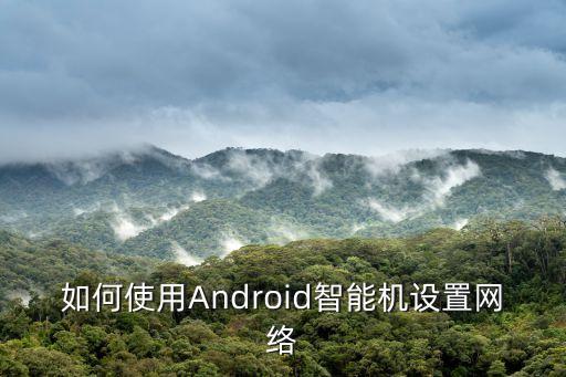 如何使用Android智能機設(shè)置網(wǎng)絡(luò)