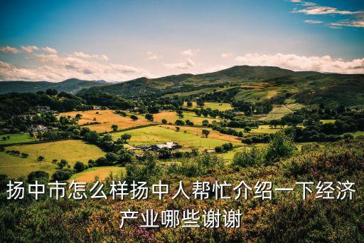 合肥揚中智能科技怎么樣，龍泉揚中科技待遇如何