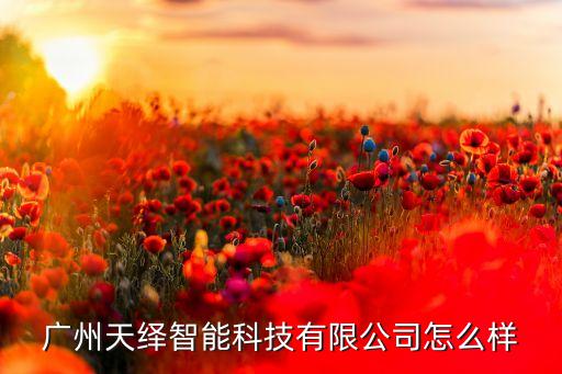 廣州天繹智能科技有限公司怎么樣