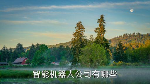 智能機器人公司有哪些