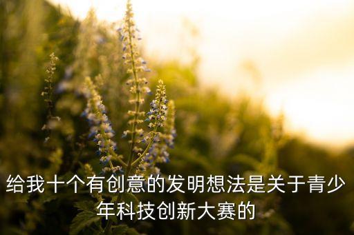 給我十個(gè)有創(chuàng)意的發(fā)明想法是關(guān)于青少年科技創(chuàng)新大賽的