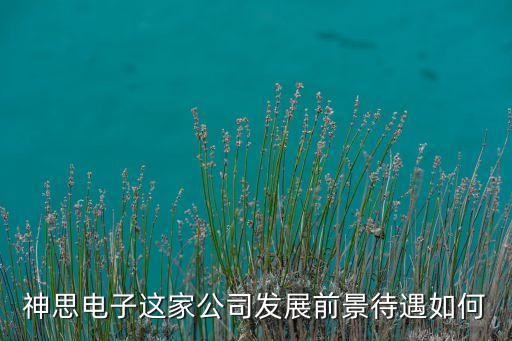 神思電子這家公司發(fā)展前景待遇如何