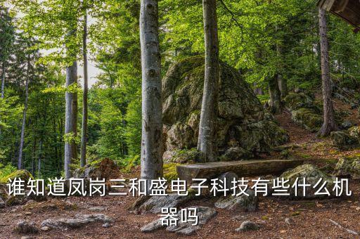 誰知道鳳崗三和盛電子科技有些什么機器嗎