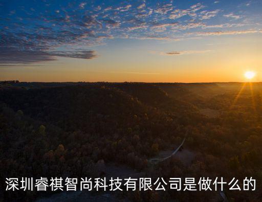 深圳睿祺智尚科技有限公司是做什么的