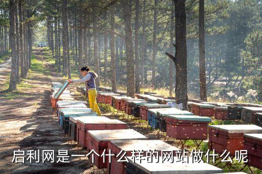 啟利網(wǎng)是一個(gè)什么樣的網(wǎng)站做什么呢
