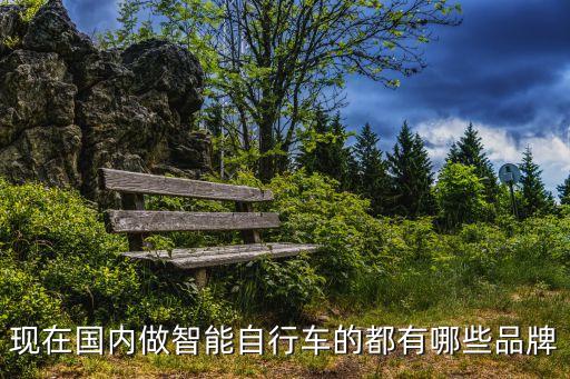 現(xiàn)在國(guó)內(nèi)做智能自行車的都有哪些品牌