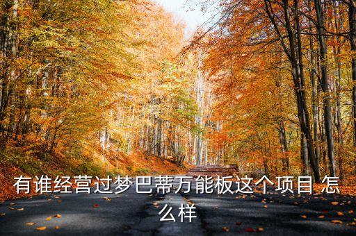 有誰經(jīng)營過夢巴蒂萬能板這個項目 怎么樣