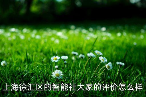 上海徐匯區(qū)的智能社大家的評(píng)價(jià)怎么樣