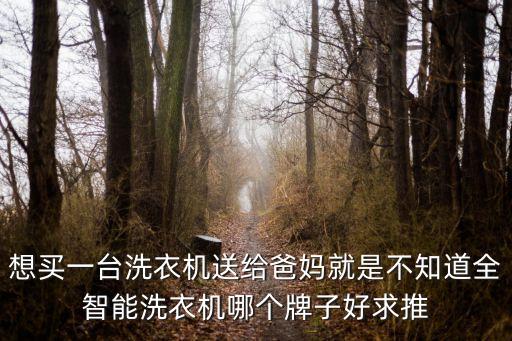 想買一臺洗衣機送給爸媽就是不知道全智能洗衣機哪個牌子好求推