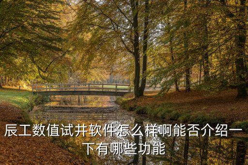 合肥辰控智能科技怎么樣，合肥開(kāi)發(fā)APP哪家公司好