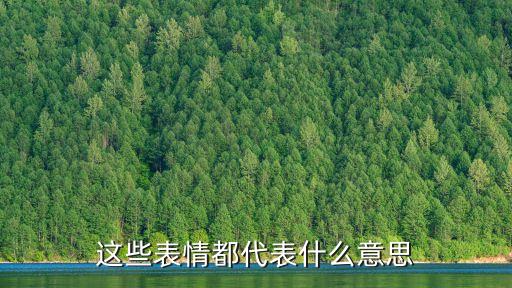 這些表情都代表什么意思