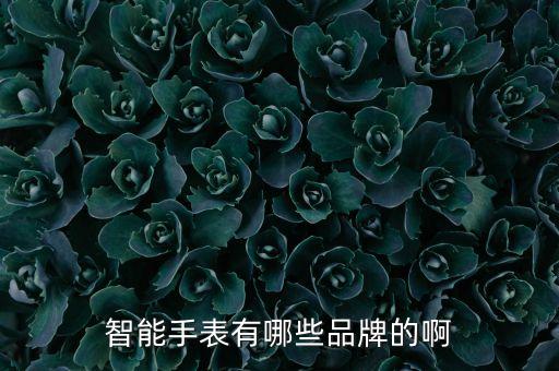 有哪些智能高科技手表推薦，什么智能手表好
