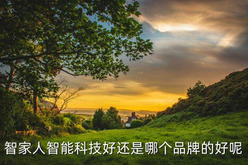 智家人智能科技好還是哪個(gè)品牌的好呢
