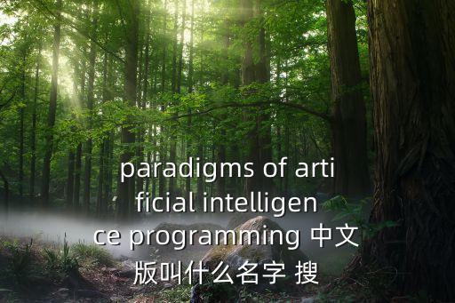 paradigms of artificial intelligence programming 中文版叫什么名字 搜