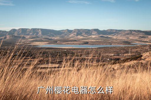 廣州櫻花電器怎么樣