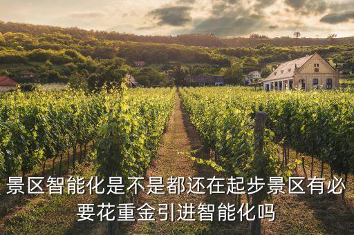 景區(qū)智能化是不是都還在起步景區(qū)有必要花重金引進智能化嗎