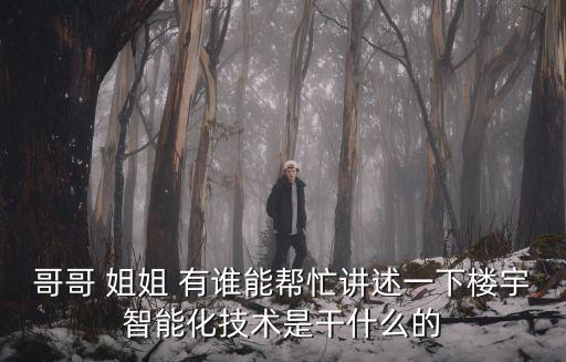哥哥 姐姐 有誰能幫忙講述一下樓宇智能化技術(shù)是干什么的