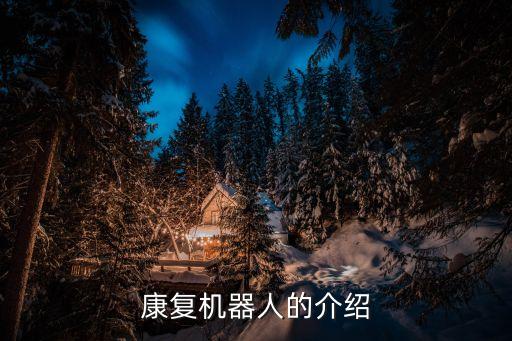 康復(fù)機器人的介紹