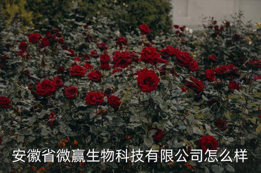 安徽省微贏生物科技有限公司怎么樣