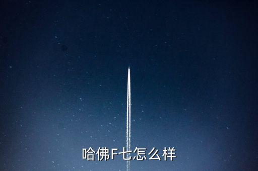 哈弗智能科技怎么樣，哈佛多元智能嬰幼兒身體運動智能開發(fā)訓練效果怎么樣