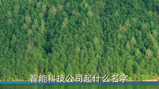 智能科技公司取什么名字好，智能科技公司起什么名字