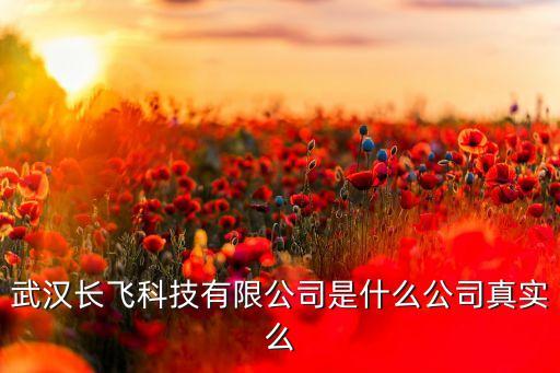 武漢長飛科技有限公司是什么公司真實(shí)么