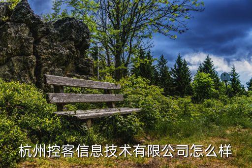 杭州控客信息技術(shù)有限公司怎么樣