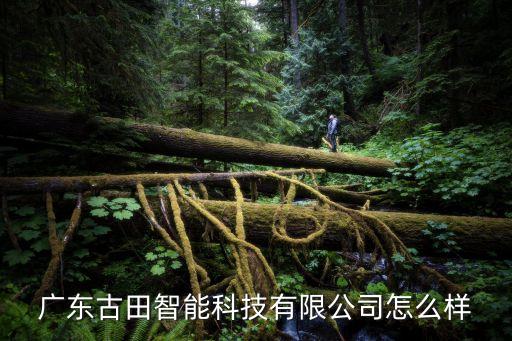 東古智能科技有限公司如何，廣州東智自動化科技有限公司怎么樣