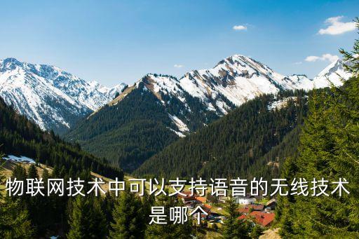 神域智能科技音箱怎么連接，物聯(lián)網技術中可以支持語音的無線技術是哪個