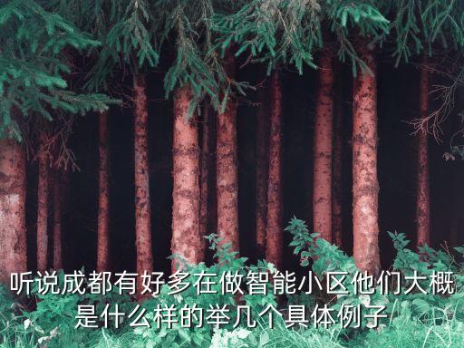 聽說成都有好多在做智能小區(qū)他們大概是什么樣的舉幾個具體例子