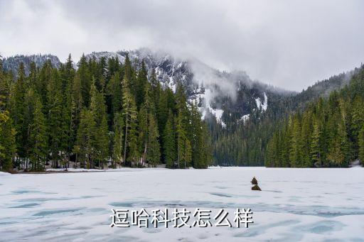 賢唄智能科技怎么樣，逗哈科技怎么樣