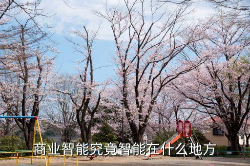 商業(yè)智能究竟智能在什么地方