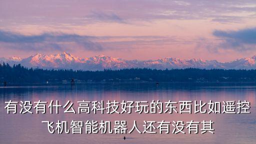 有沒有什么高科技好玩的東西比如遙控飛機智能機器人還有沒有其