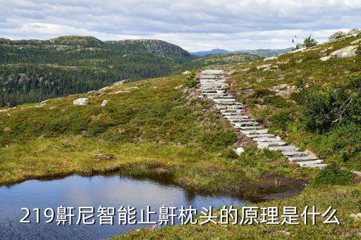 219鼾尼智能止鼾枕頭的原理是什么