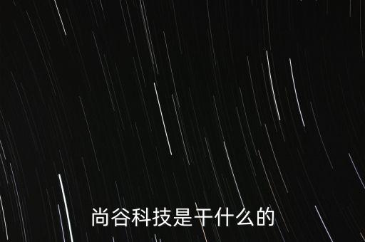 尚谷科技是干什么的