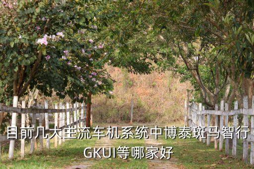 博泰智能科技怎么樣，博泰的產品ivoka語音怎么樣啊