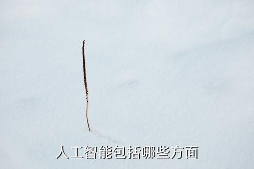 人工智能包括哪些方面