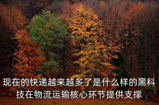 現(xiàn)在的快遞越來越多了是什么樣的黑科技在物流運輸核心環(huán)節(jié)提供支撐