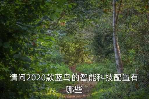 請問2020款藍鳥的智能科技配置有哪些