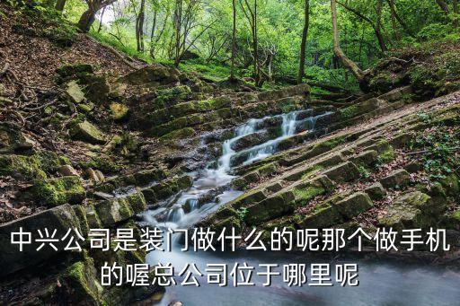 中興公司是裝門做什么的呢那個(gè)做手機(jī)的喔總公司位于哪里呢