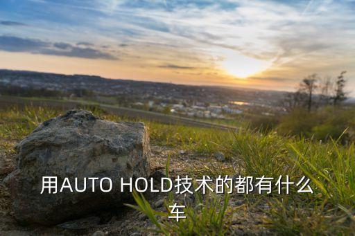 用AUTO HOLD技術(shù)的都有什么車(chē)