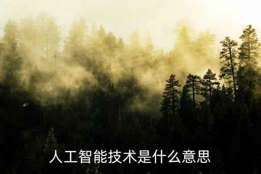 人工智能技術(shù)是什么意思