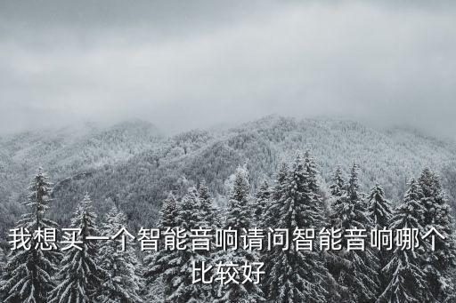 我想買一個智能音響請問智能音響哪個比較好