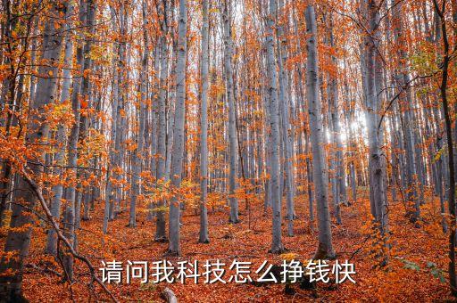 請(qǐng)問我科技怎么掙錢快