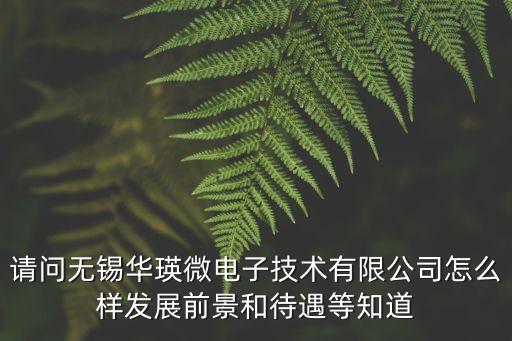 請問無錫華瑛微電子技術有限公司怎么樣發(fā)展前景和待遇等知道